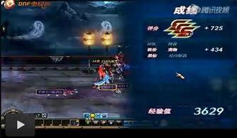 凤凰羽视频,探寻神秘凤凰的传奇故事