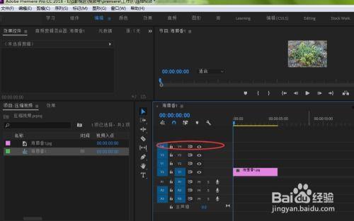 视频中添加音频,视频内容升级新篇章