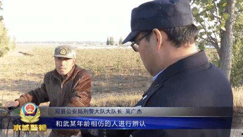 年犯的视频,年度热门视频背后的故事与影响