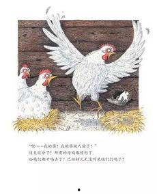 偷蛋贼视频,一场啼笑皆非的“蛋”事