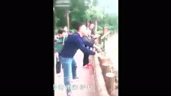 爱搞搞在线视频,揭秘热门搞笑瞬间，笑点满满，不容错过！