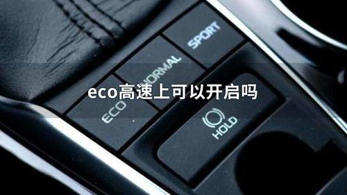 eco视频