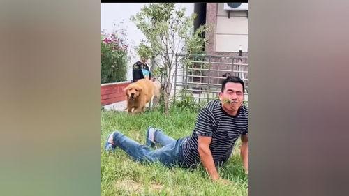 豆豆搞笑视频全集,笑点满满，欢乐无限