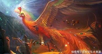 朱雀的视频,探寻神秘东方神话的奇幻之旅