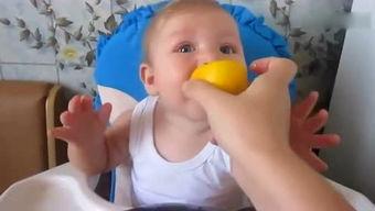 动物吃柠檬视频,动物们的美味探索之旅