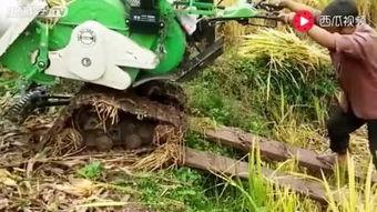 收割机工作视频大全集,收割机工作视频大全集深度解读