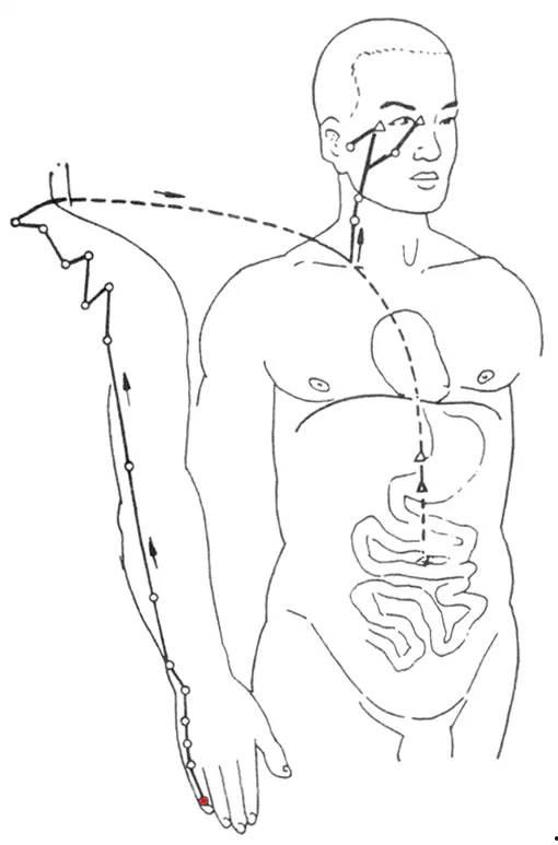 十二经络视频讲解,揭秘人体生命奥秘