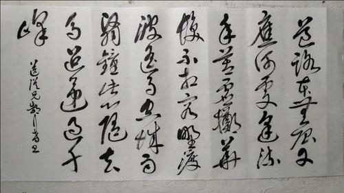 草书示范视频,跟随示范视频领略书法艺术之美