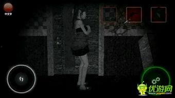 浸娘2视频,奇幻冒险，青春热血再续篇章